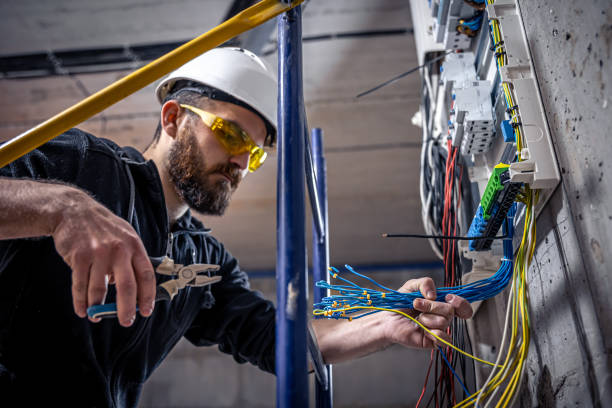 Best Electrician for Home Renovation  in Palm Springs North, FL